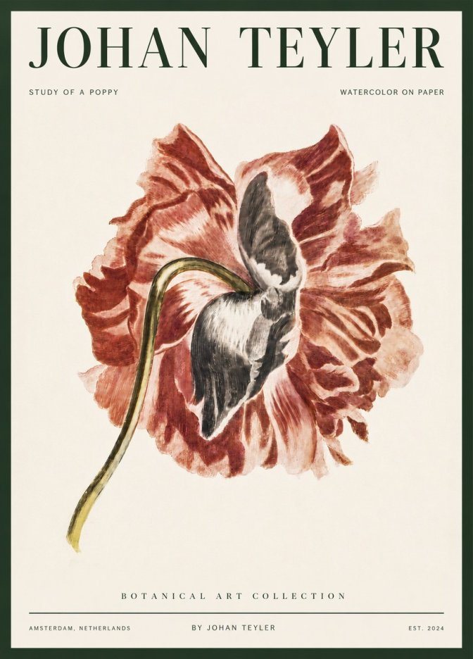 Johan Teyler Study of a Poppy No3 - Affiche