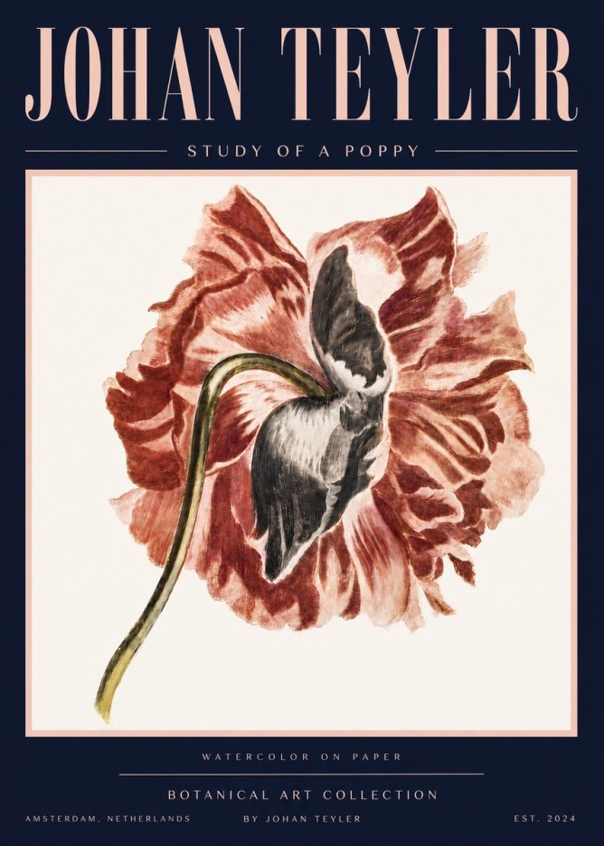 Johan Teyler Study of a Poppy No4 - Affiche