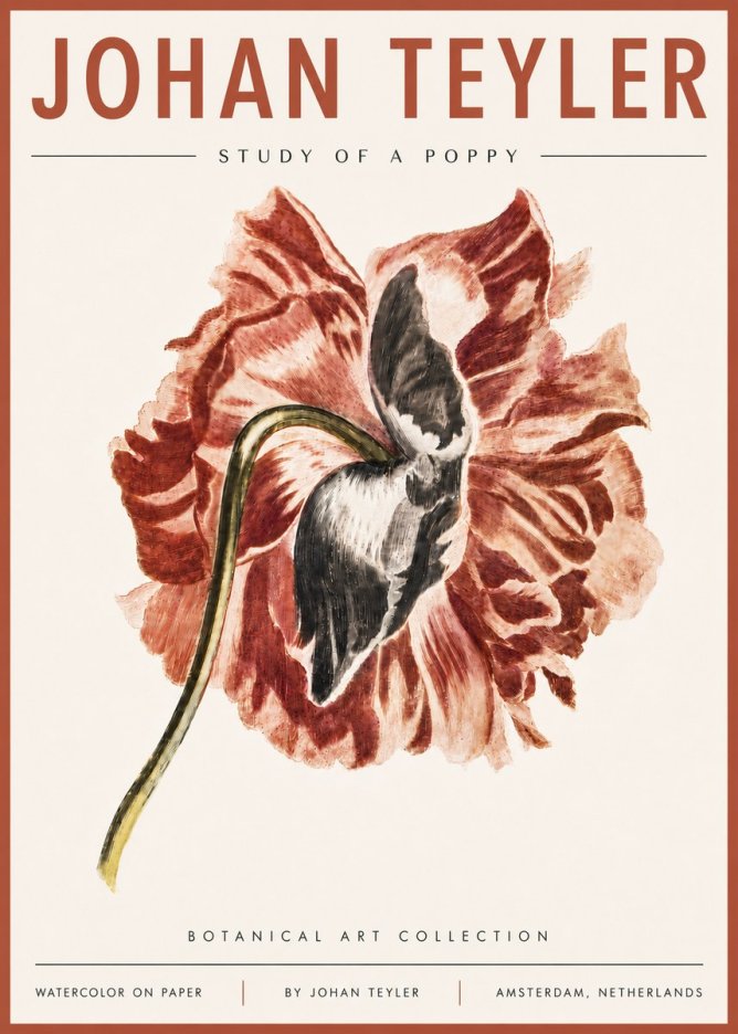 Johan Teyler Study of a Poppy No6 - Affiche