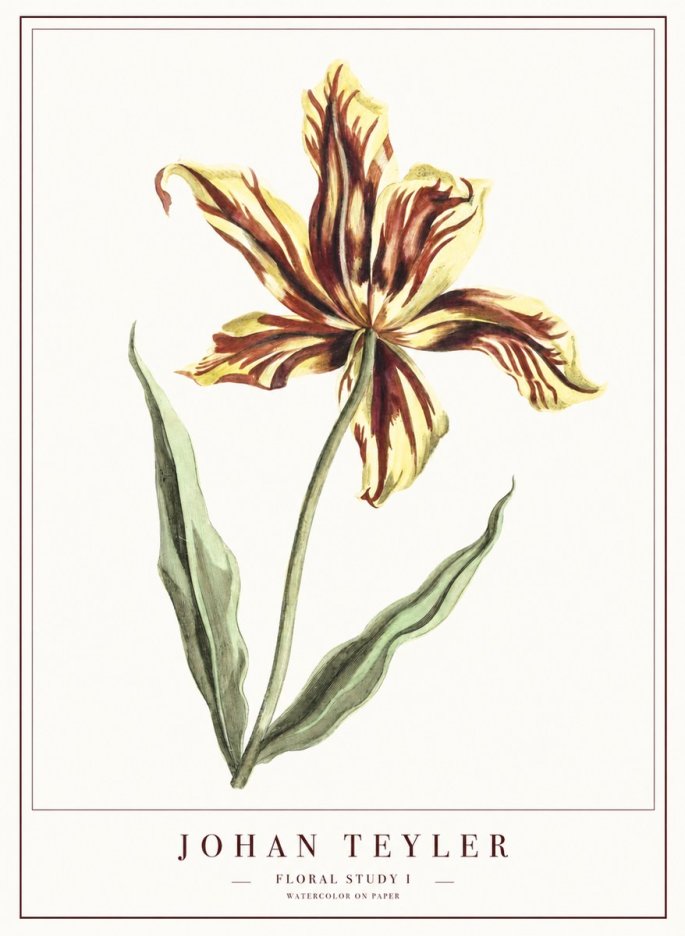 Johan Teyler Floral Study I No1 - Affiche