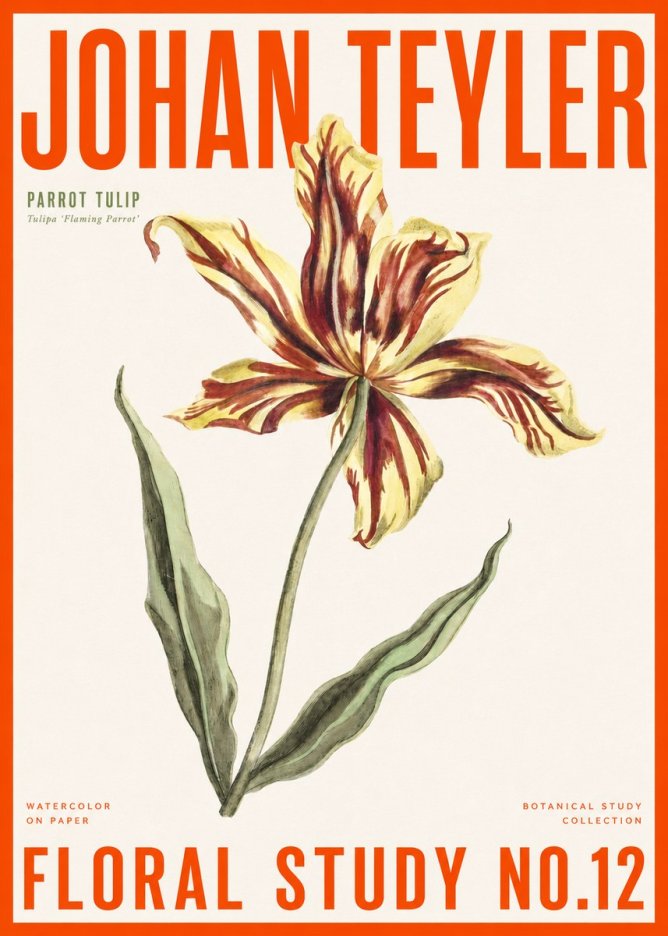 Johan Teyler Floral Study I No6 - Affiche
