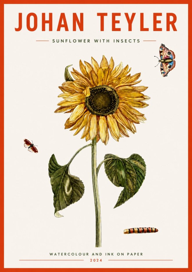 Johan Teyler Sunflower with Insects No4 - Affiche