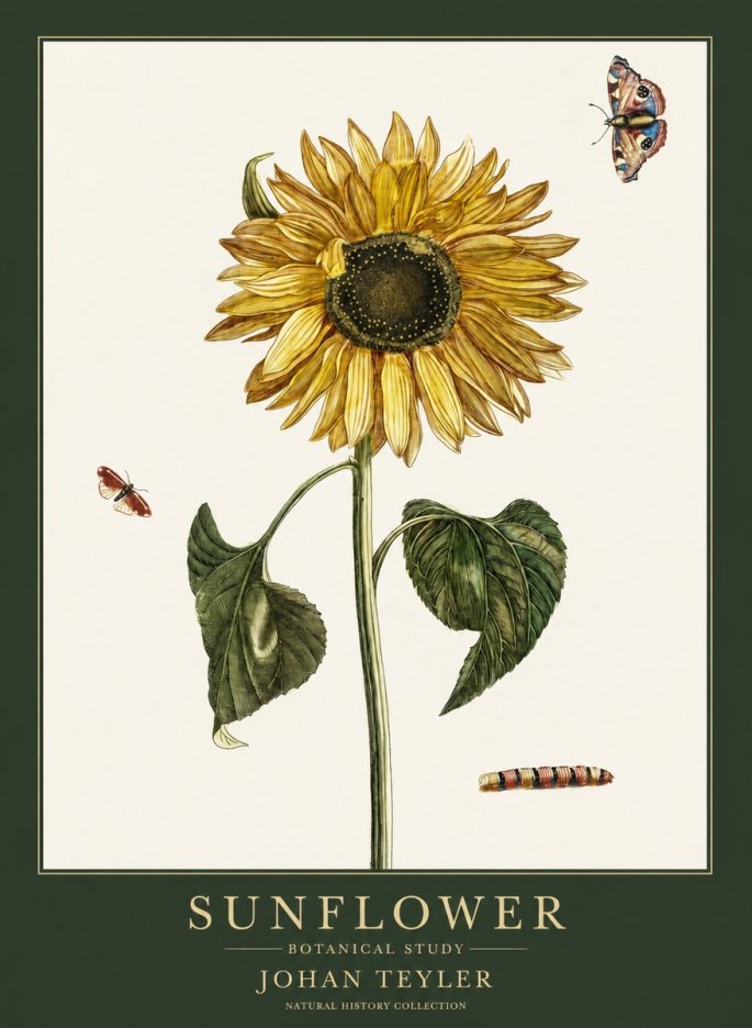 Johan Teyler Sunflower with Insects No6 - Affiche