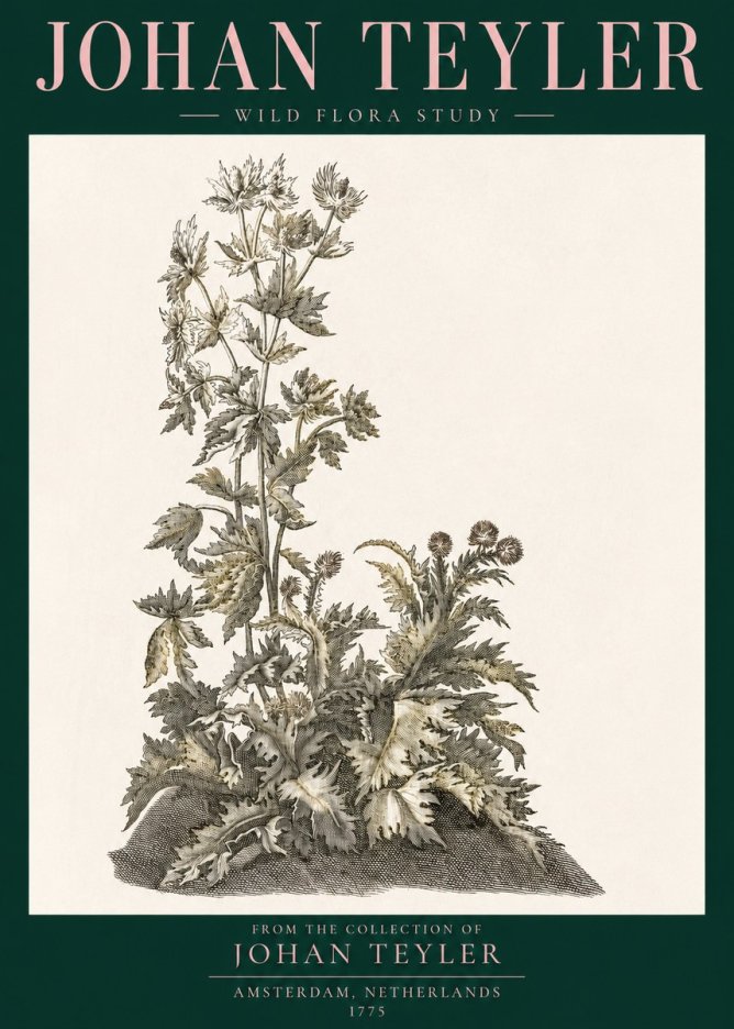 Johan Teyler Wild Flora Study No3 - Affiche
