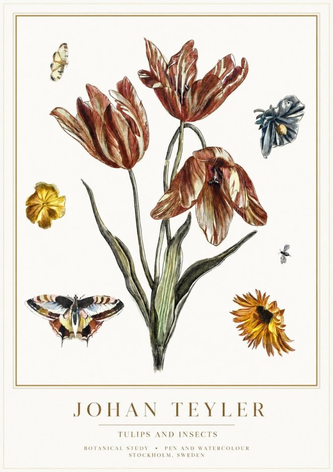 Johan Teyler Tulips and Insects No1 - Affiche