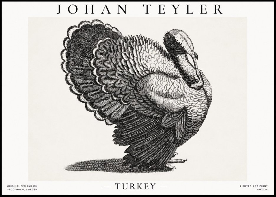 Johan Teyler Turkey No1 - Affiche