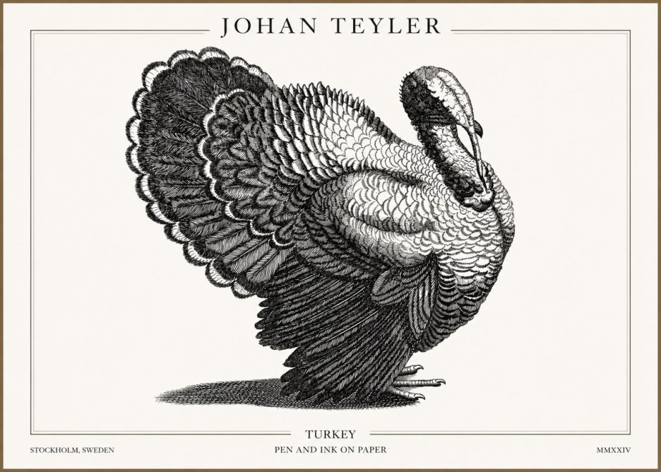 Johan Teyler Turkey No2 - Affiche