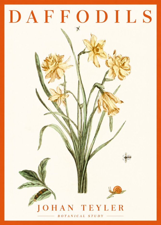 Johan Teyler Daffodils No2 - Affiche
