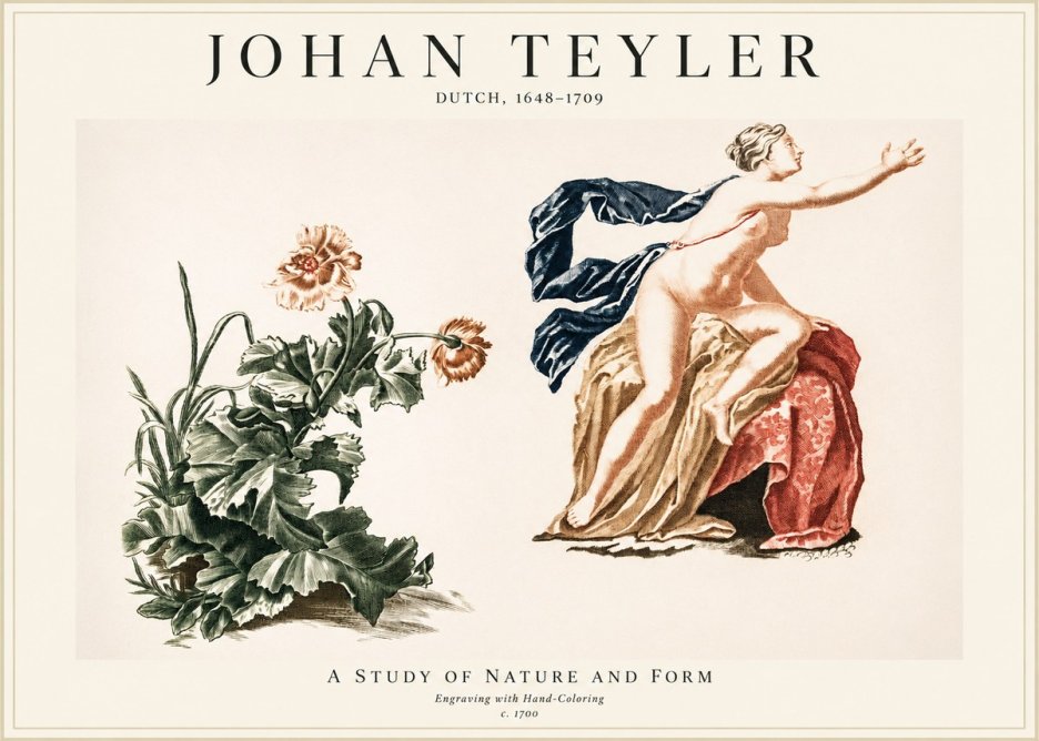 Johan Teyler A Study of Nature and Form No1 - Affiche