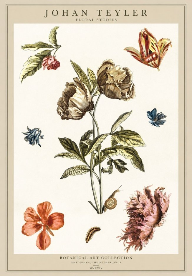 Johan Teyler Floral Studies No1 - Affiche