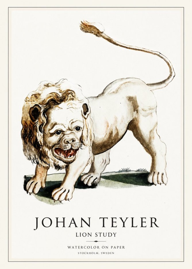 Johan Teyler Lion Study No1 - Affiche