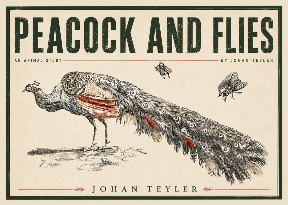 Johan Teyler Peacock and Flies - Animal Study No5 - Affiche