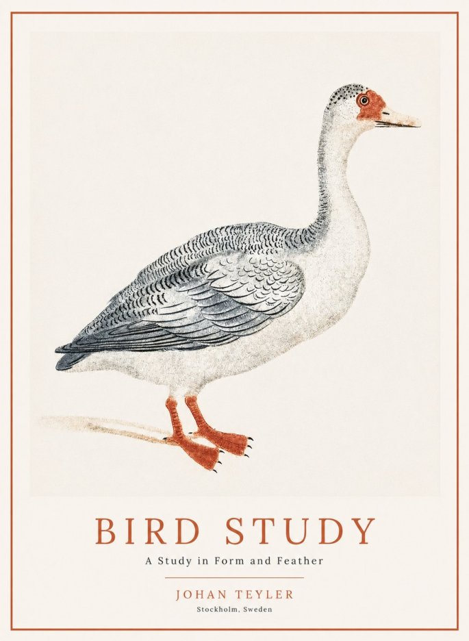 Johan Teyler Goose Study No2 - Affiche