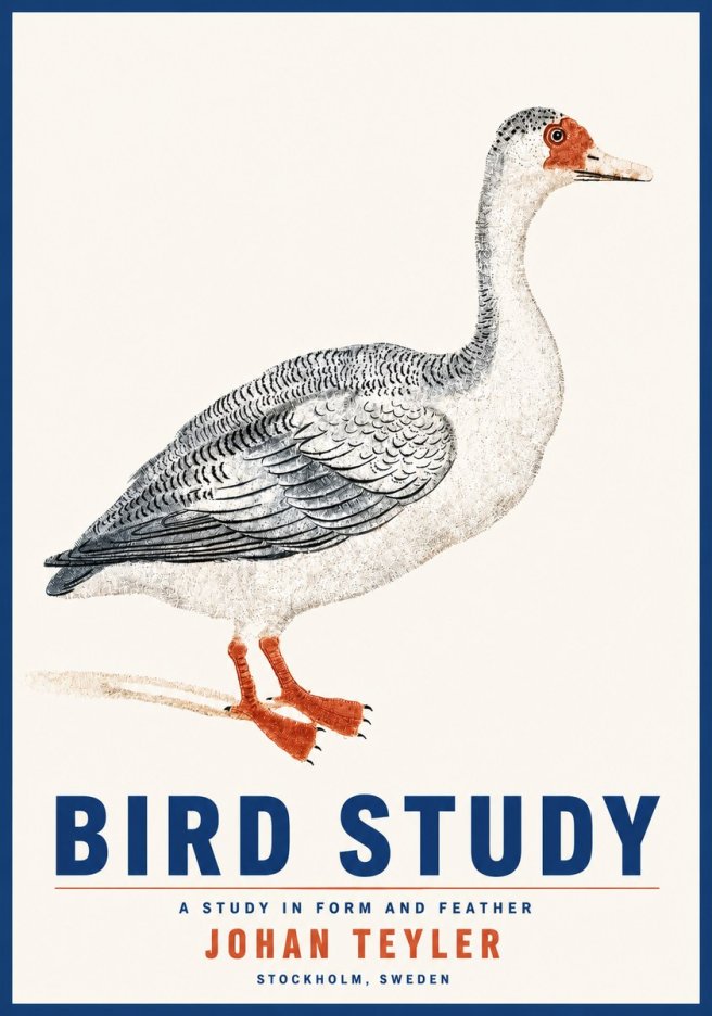 Johan Teyler Goose Study No5 - Affiche