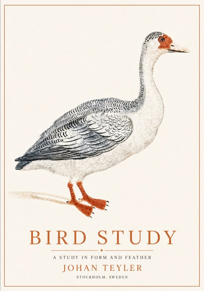 Johan Teyler Goose Study No6 - Affiche