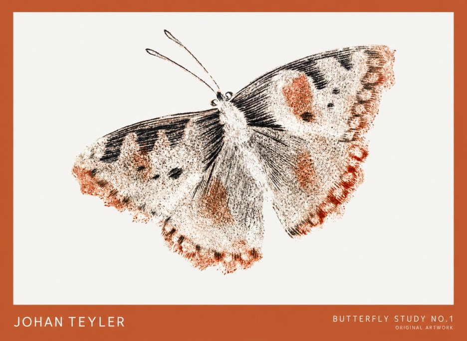 Johan Teyler Butterfly Study No.1 No1 - Affiche