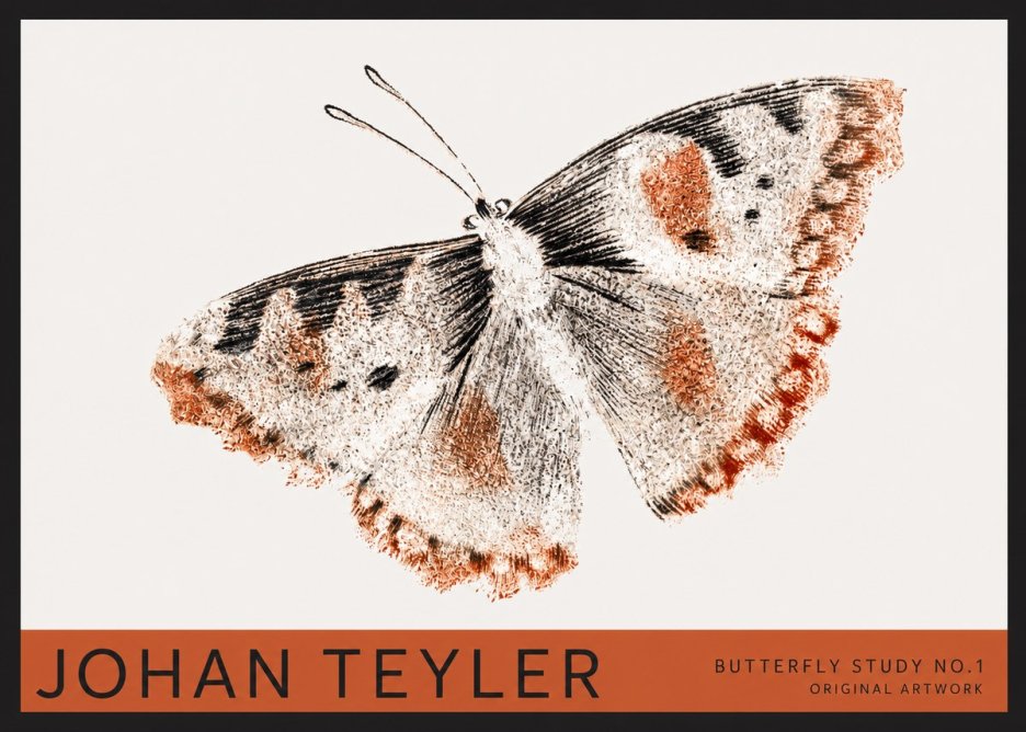 Johan Teyler Butterfly Study No.1 No2 - Affiche