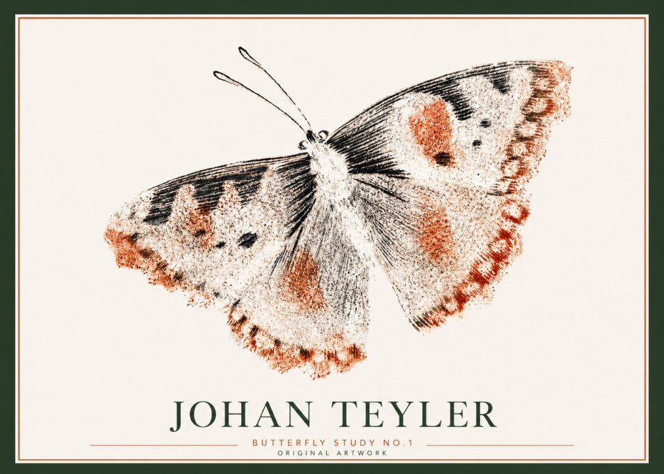 Johan Teyler Butterfly Study No.1 No3 - Affiche