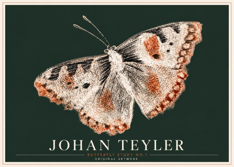 Johan Teyler Butterfly Study No.1 No6 - Affiche