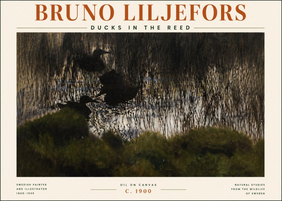 Bruno Liljefors Ducks in the Reed No5 - Affiche