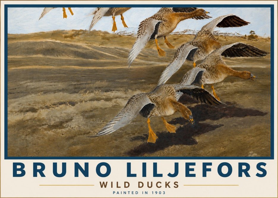 Bruno Liljefors Wild Ducks I No5 - Affiche