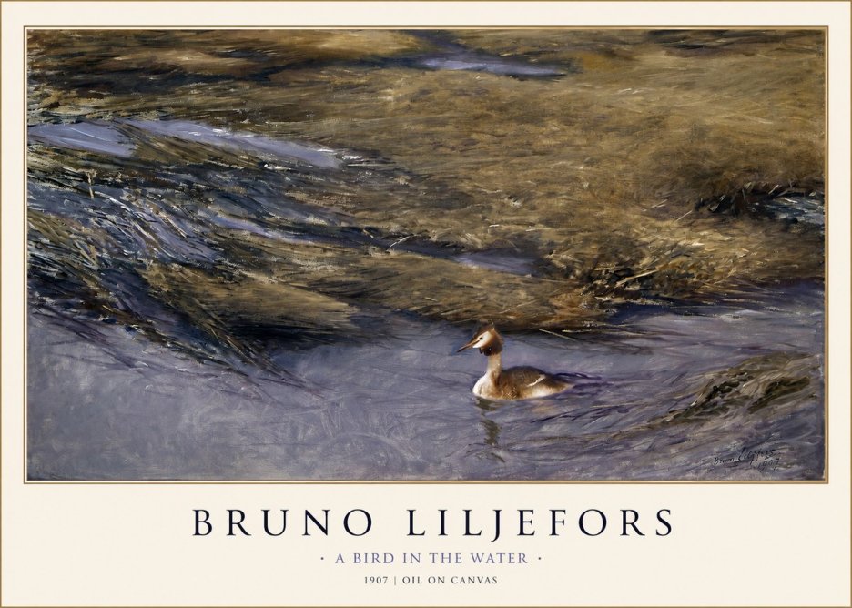 Bruno Liljefors A Bird in the Water No1 - Affiche
