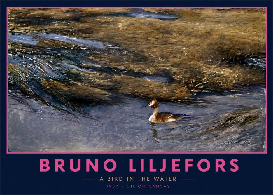 Bruno Liljefors A Bird in the Water No2 - Affiche