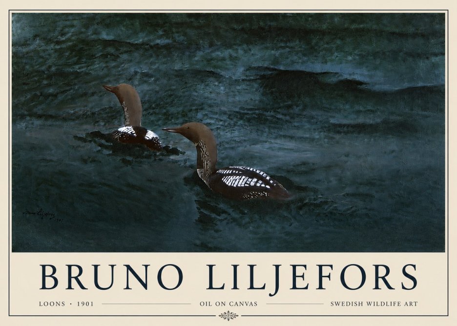 Bruno Liljefors Loons · 1901 No3 - Affiche