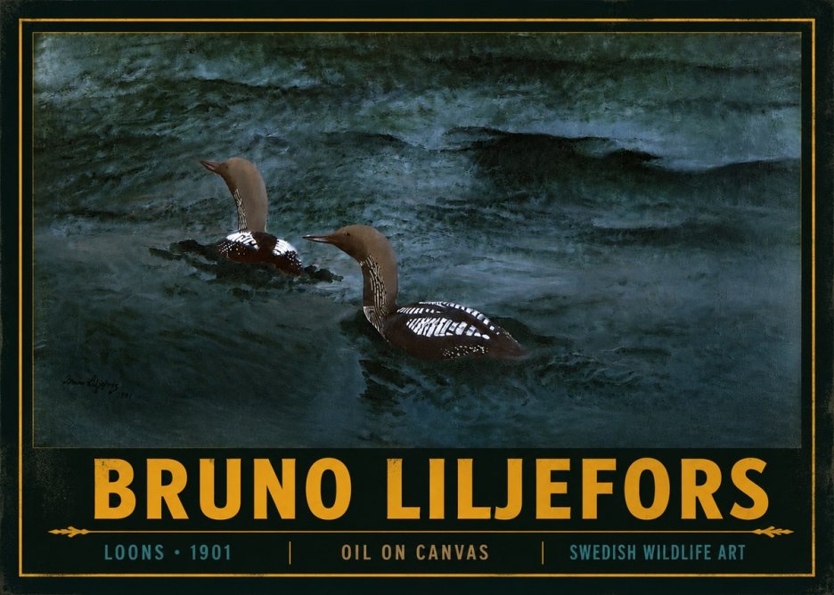Bruno Liljefors Loons · 1901 No4 - Affiche