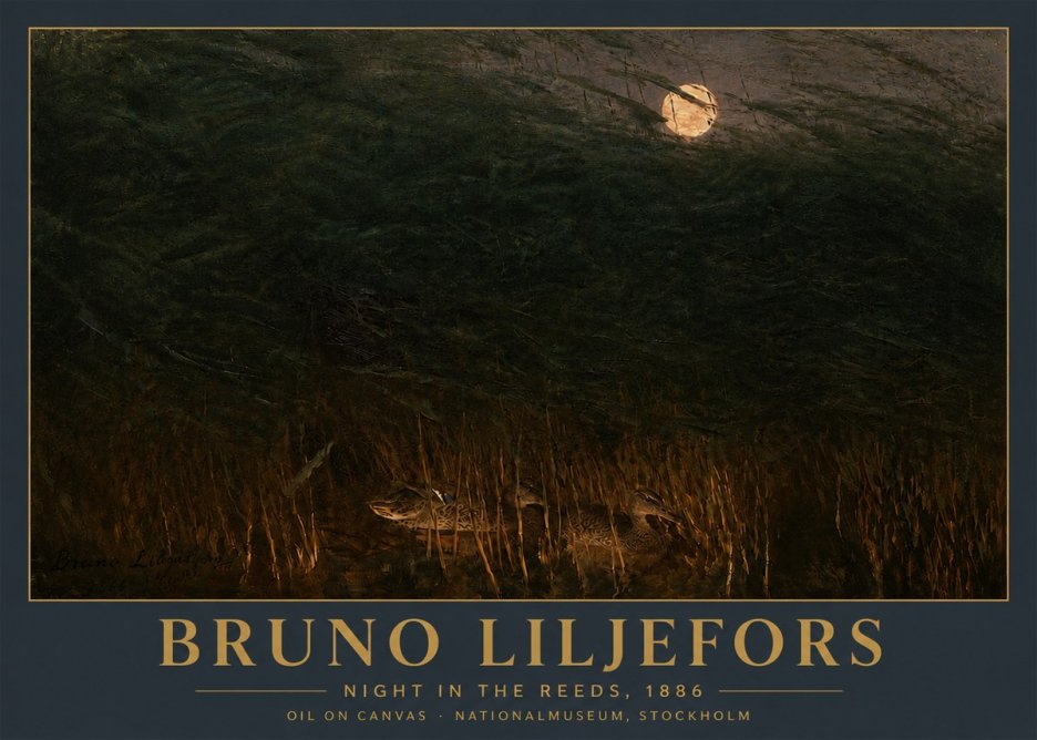 Bruno Liljefors Night in the Reeds No5 - Affiche
