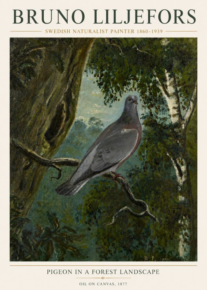 Bruno Liljefors Pigeon in a Forest Landscape No6 - Affiche