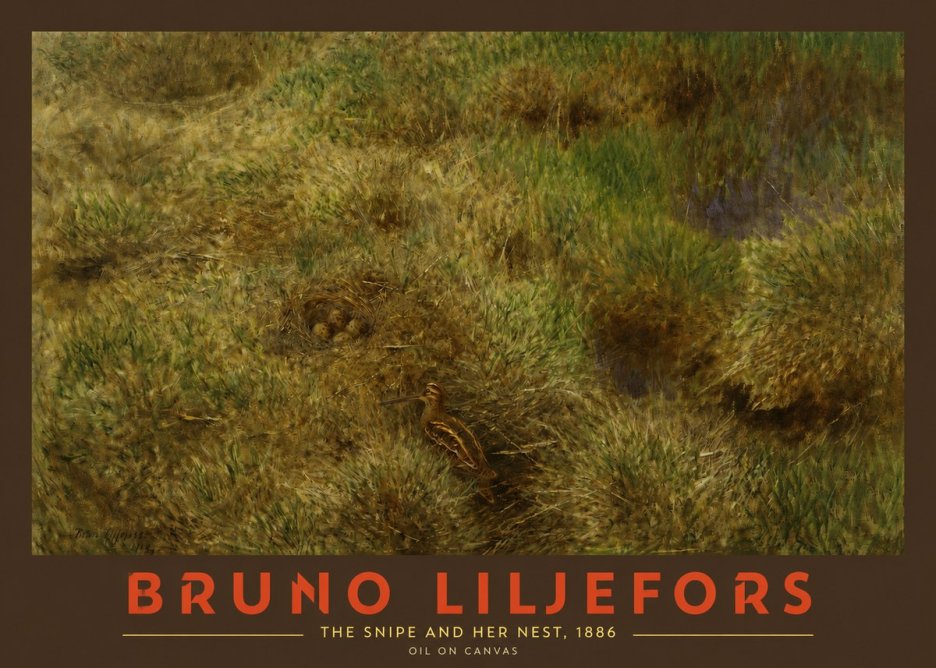 Bruno Liljefors The Snipe and Her Nest No2 - Affiche