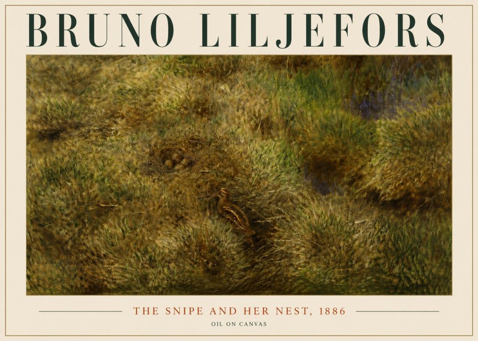 Bruno Liljefors The Snipe and Her Nest No6 - Affiche