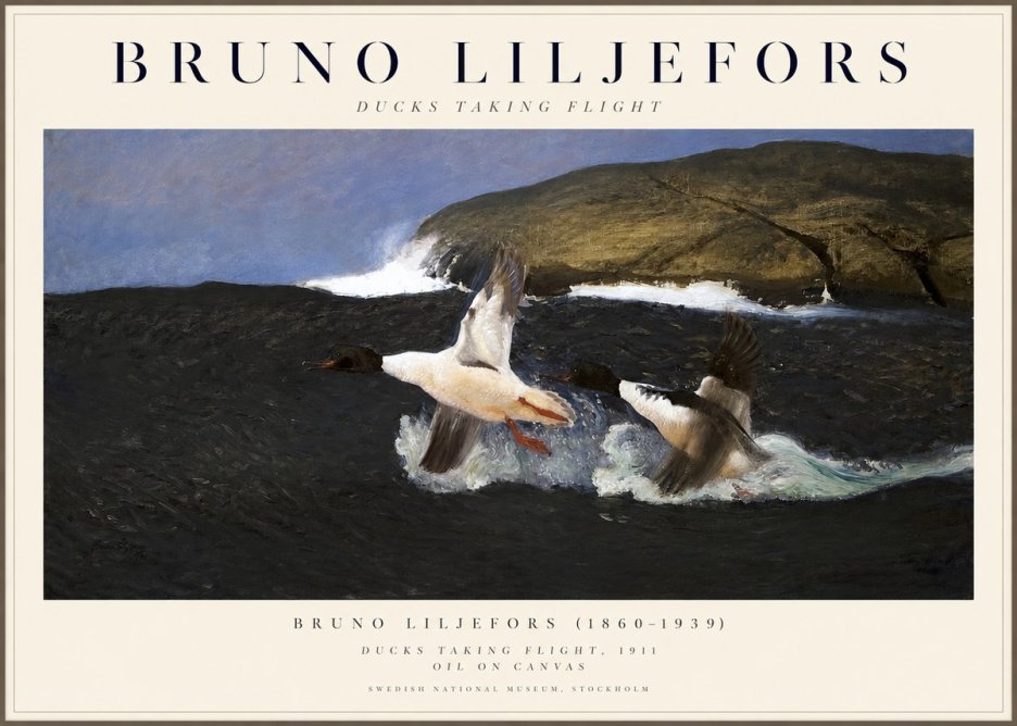 Bruno Liljefors Ducks Taking Flight No1 - Affiche