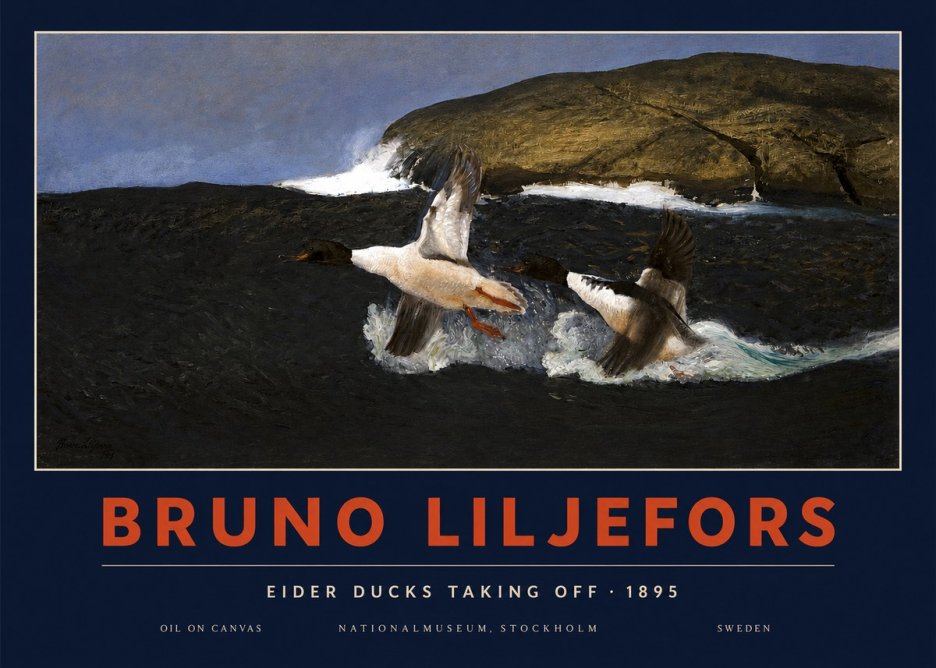 Bruno Liljefors Ducks Taking Flight No4 - Affiche