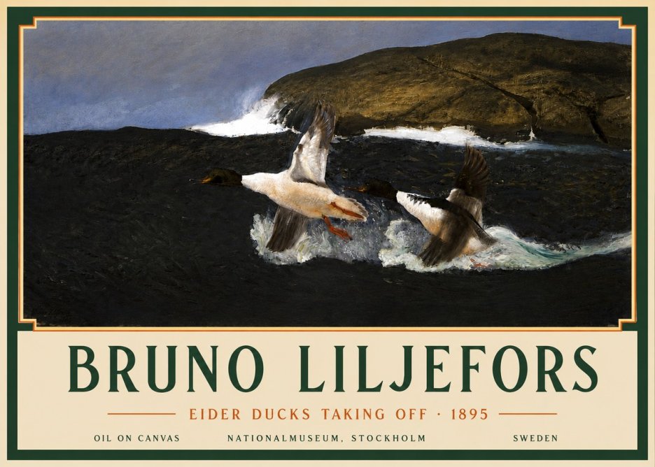 Bruno Liljefors Ducks Taking Flight No5 - Affiche
