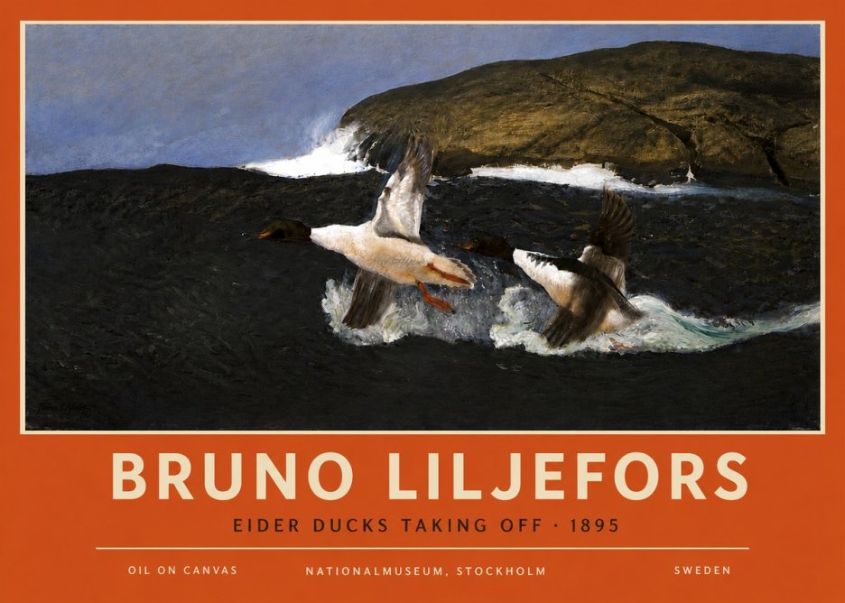 Bruno Liljefors Ducks Taking Flight No6 - Affiche