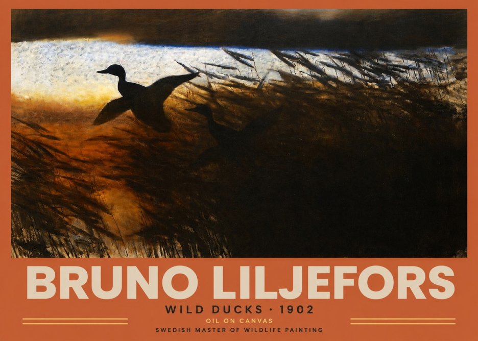 Bruno Liljefors Wild Ducks II No2 - Affiche