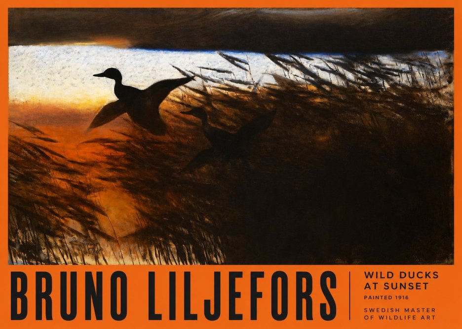 Bruno Liljefors Wild Ducks II No6 - Affiche