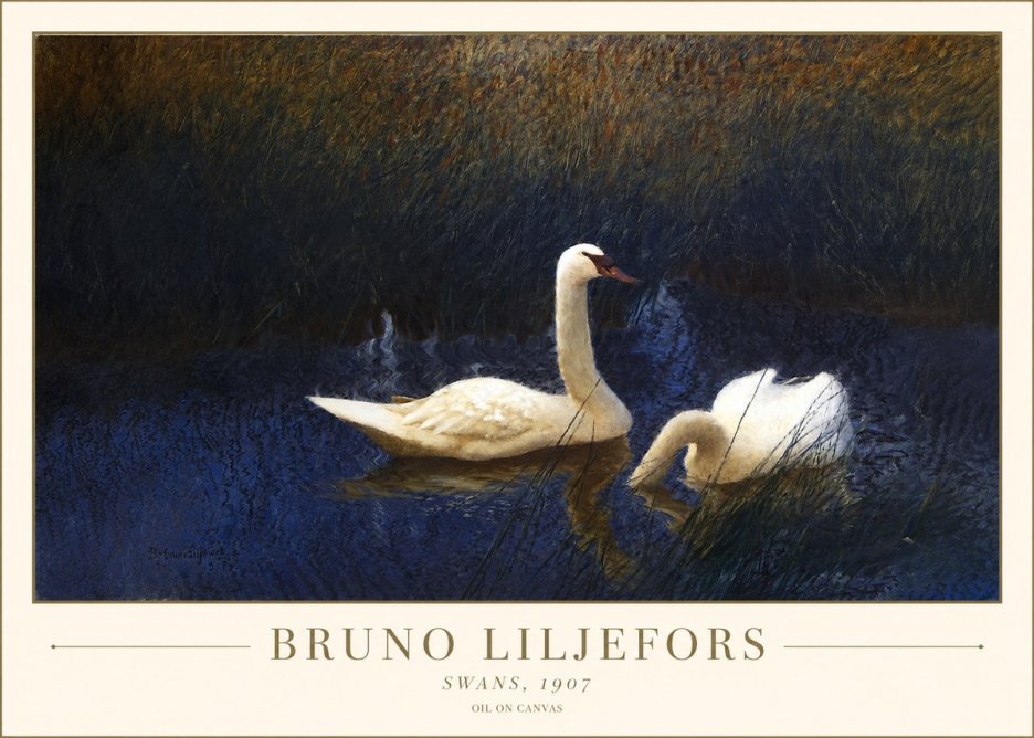 Bruno Liljefors Swans, 1907 No1 - Affiche