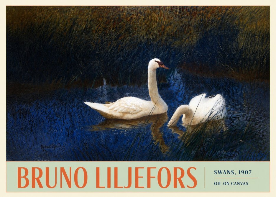 Bruno Liljefors Swans, 1907 No3 - Affiche