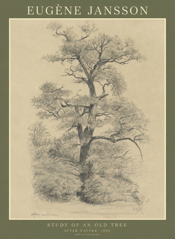 Eugène Jansson Study of an Old Tree No1 - Affiche