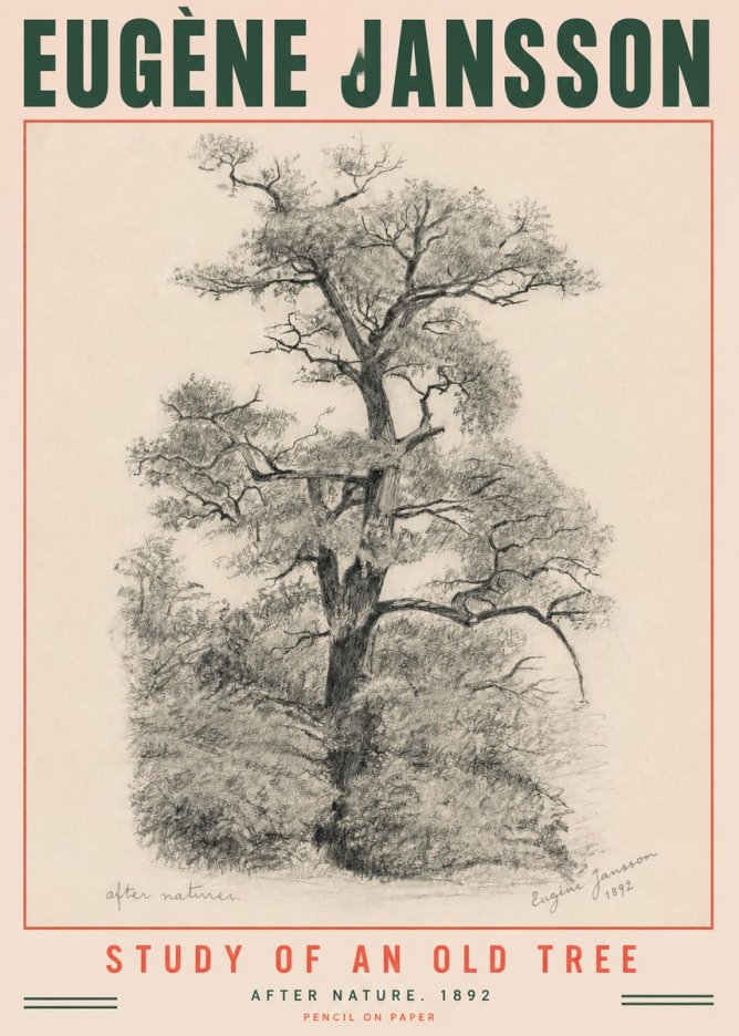 Eugène Jansson Study of an Old Tree No3 - Affiche