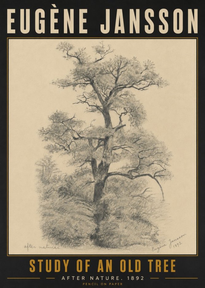 Eugène Jansson Study of an Old Tree No5 - Affiche