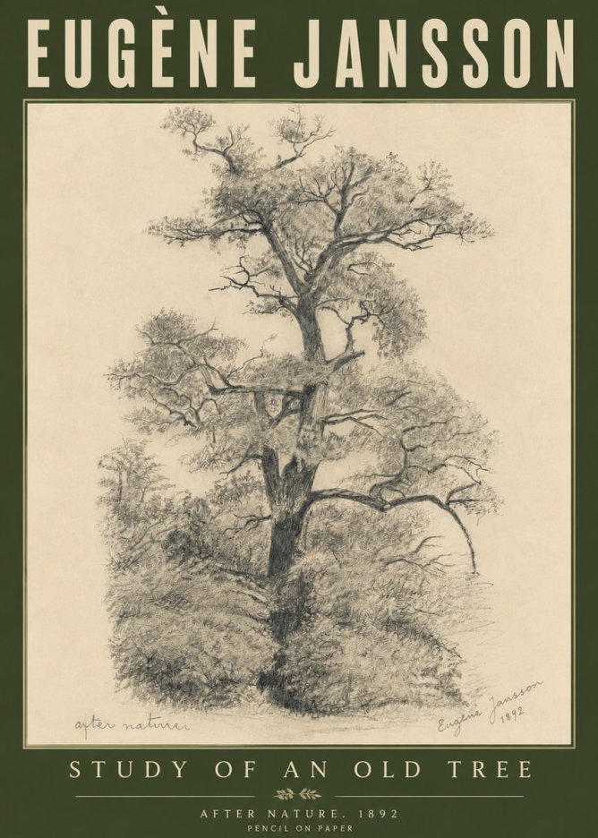 Eugène Jansson Study of an Old Tree No6 - Affiche