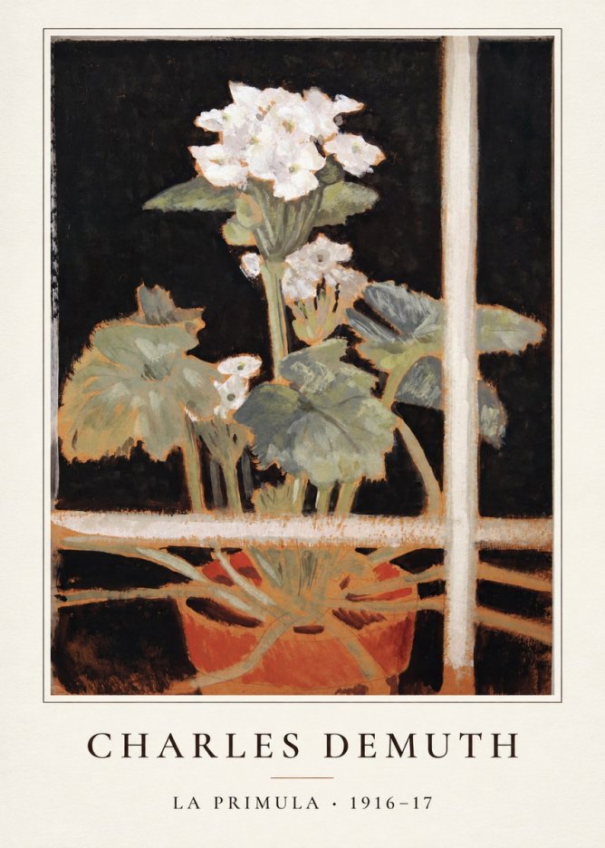 Charles Demuth La Primula No4 - Affiche