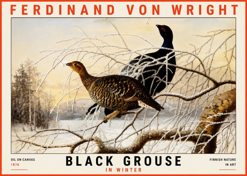 Ferdinand von Wright Black Grouse in Winter No5 - Affiche