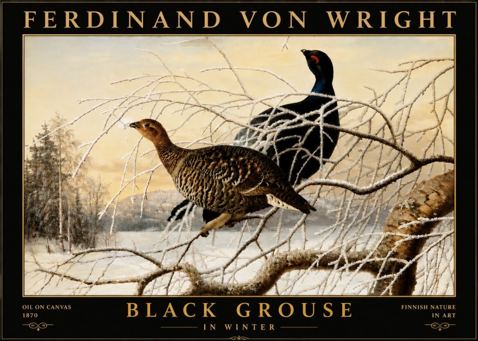 Ferdinand von Wright Black Grouse in Winter No6 - Affiche
