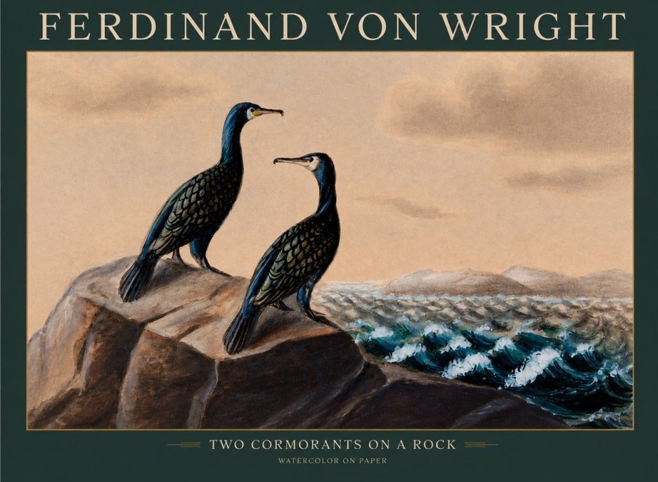 Ferdinand von Wright Two Cormorants on a Rock No1 - Affiche