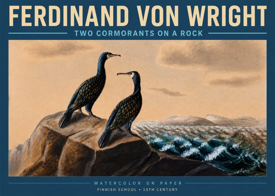 Ferdinand von Wright Two Cormorants on a Rock No3 - Affiche